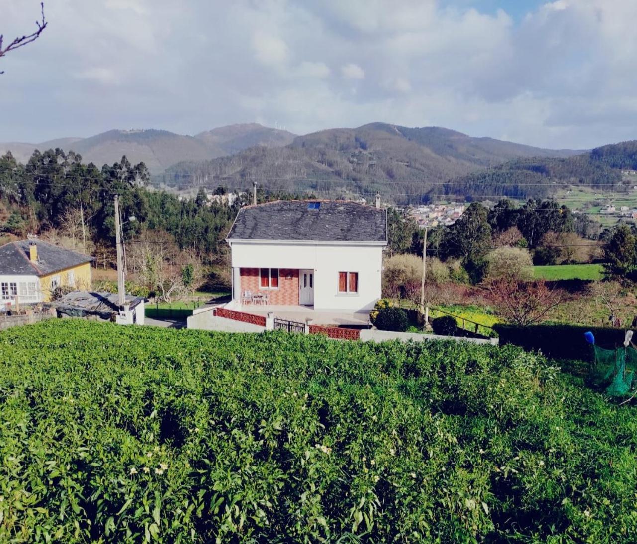 Casa Familiar Con Finca Privada 比韦罗 外观 照片